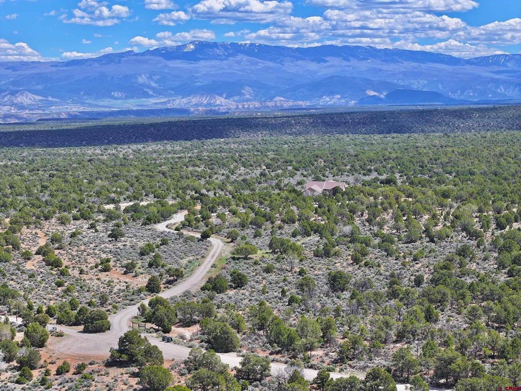 62100 V62 Trail Montrose CO 81403