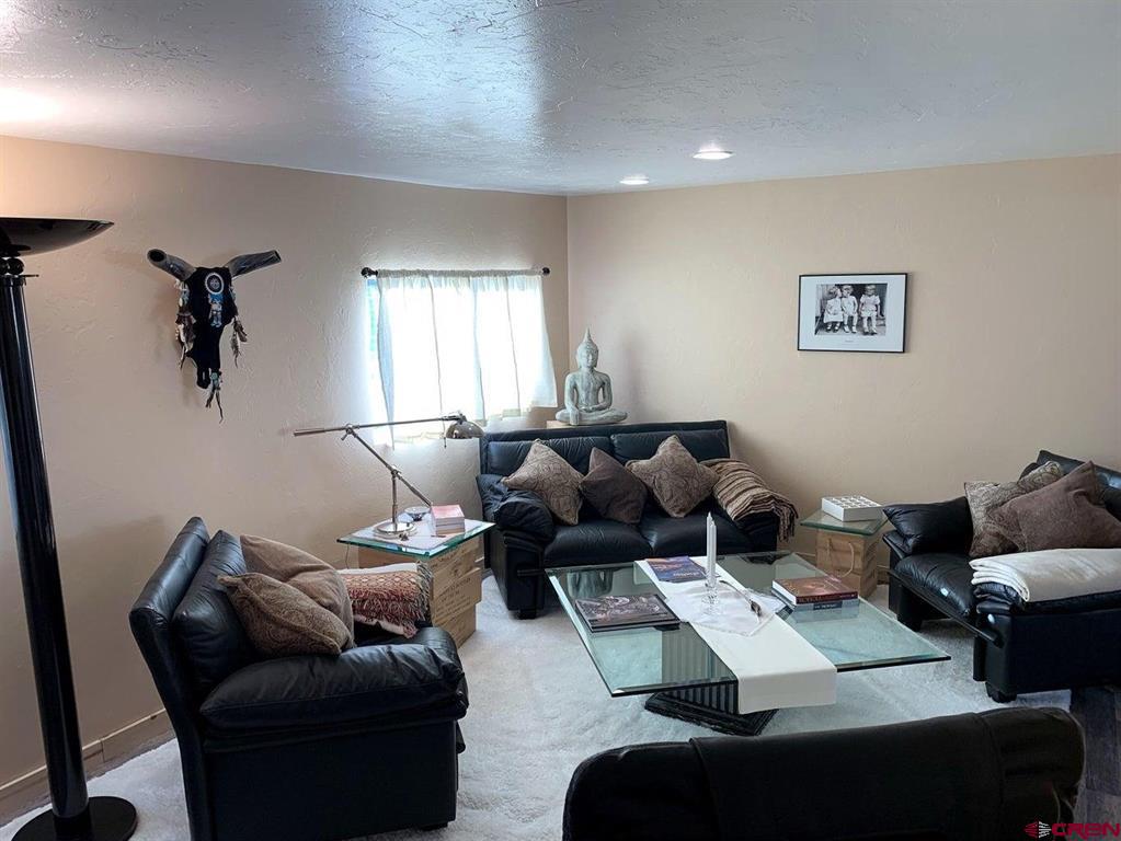333 Marys Road Ridgway CO 81432