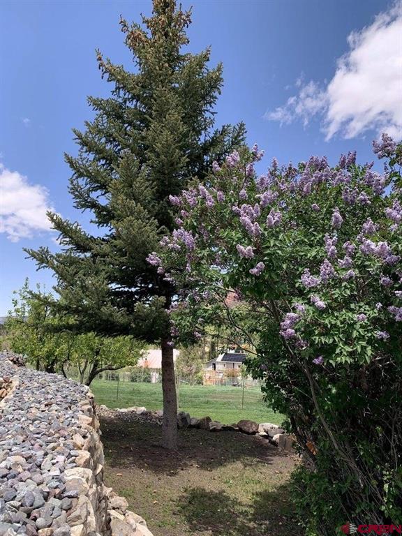 333 Marys Road Ridgway CO 81432