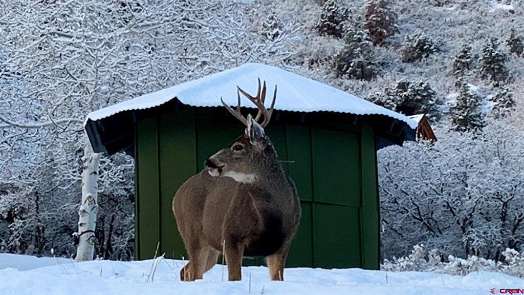 333 Marys Road Ridgway CO 81432