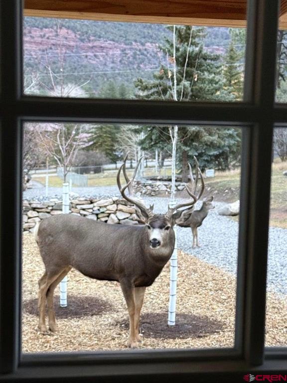 333 Marys Road Ridgway CO 81432