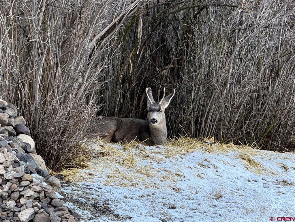 333 Marys Road Ridgway CO 81432
