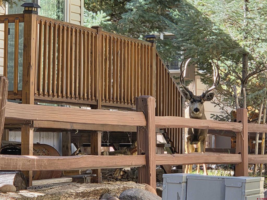 103 Tre Drive South Fork CO 81154
