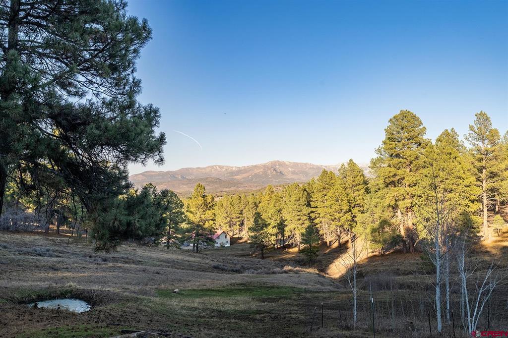 15 Night Hawk Court Pagosa Springs CO 81147