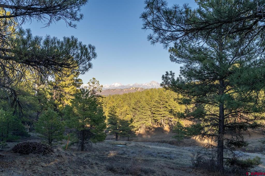 15 Night Hawk Court Pagosa Springs CO 81147