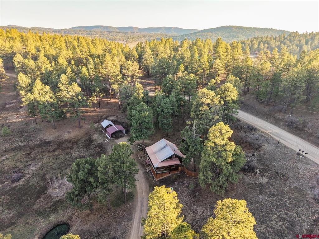 15 Night Hawk Court Pagosa Springs CO 81147