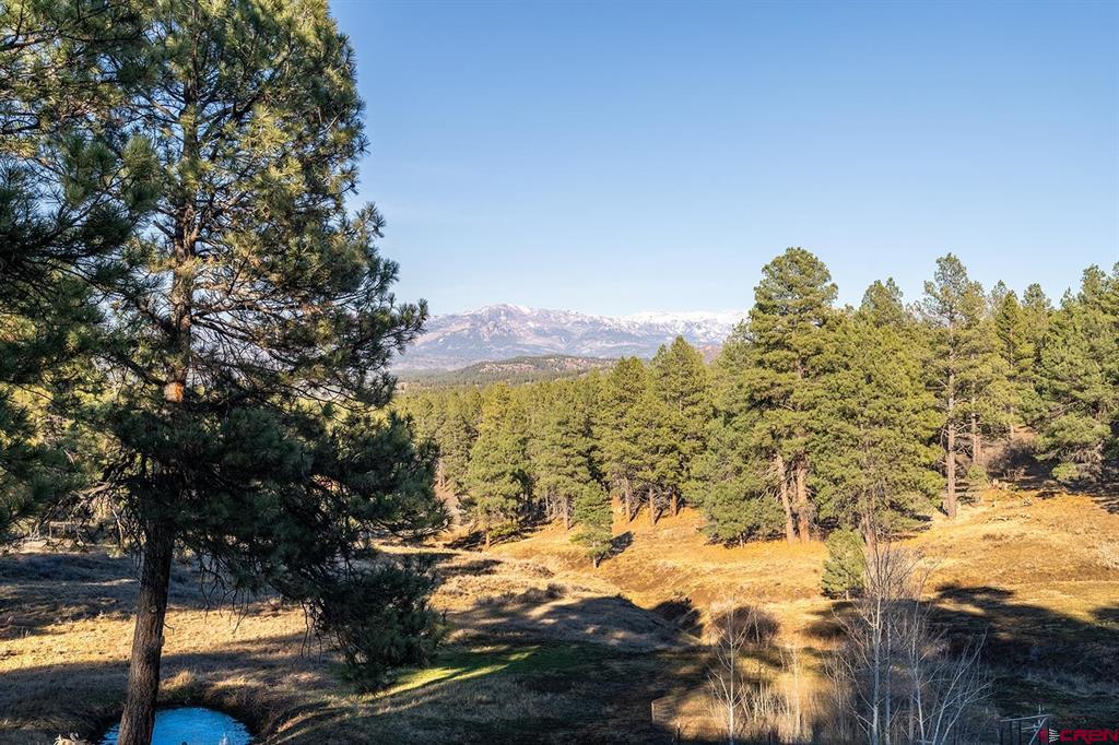 15 Night Hawk Court Pagosa Springs CO 81147