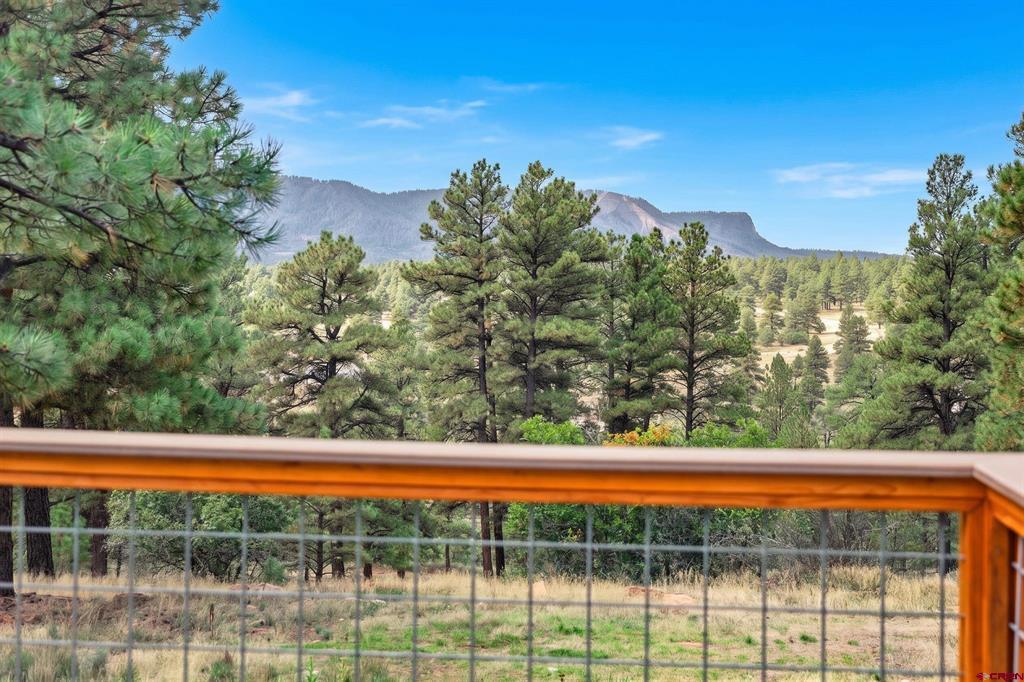 307 Canyon Circle Pagosa Springs CO 81147