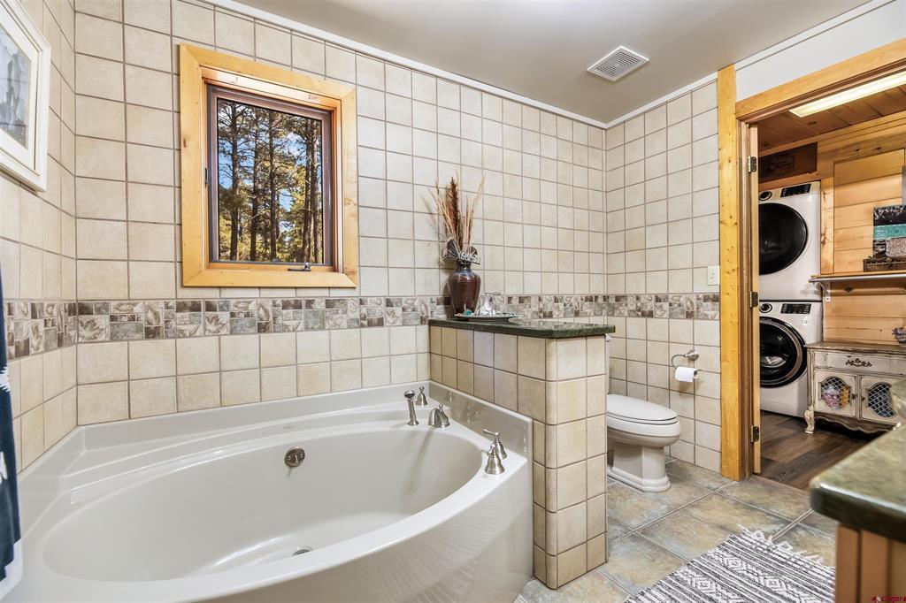 49 Sandstone Court Pagosa Springs CO 81147