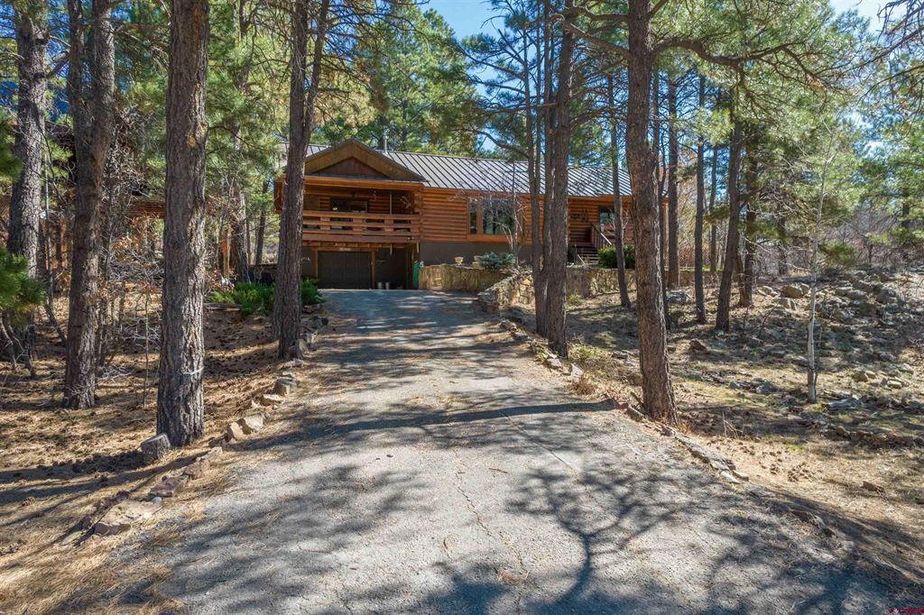49 Sandstone Court Pagosa Springs CO 81147
