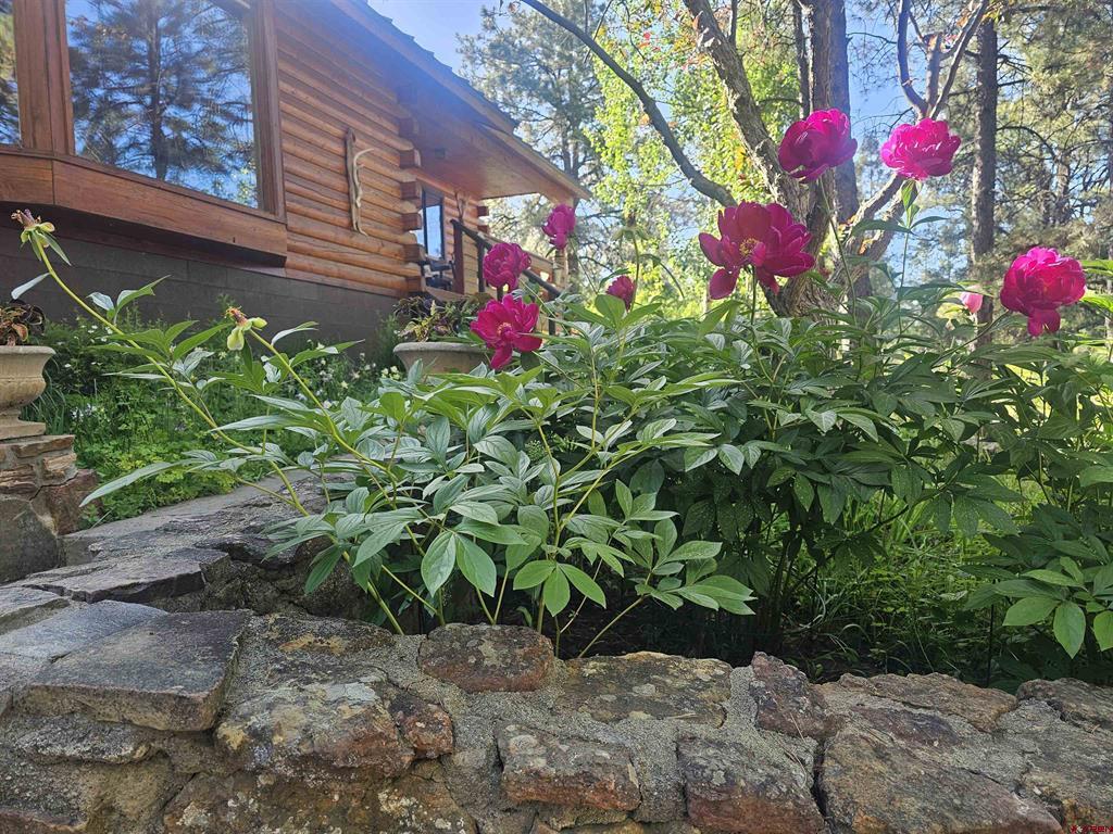 49 Sandstone Court Pagosa Springs CO 81147