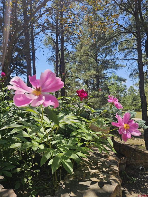 49 Sandstone Court Pagosa Springs CO 81147