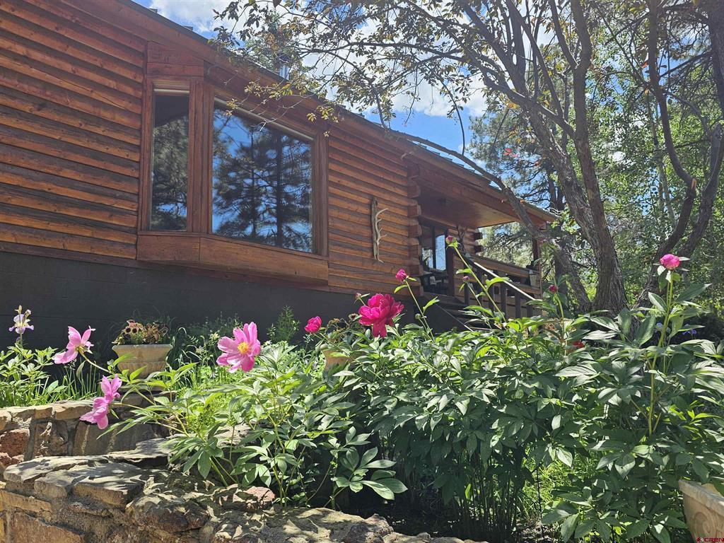49 Sandstone Court Pagosa Springs CO 81147