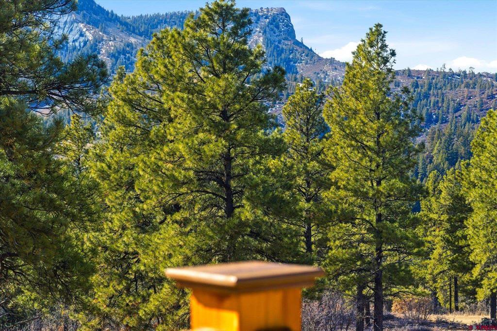 577 Ginger Circle Pagosa Springs CO 81147