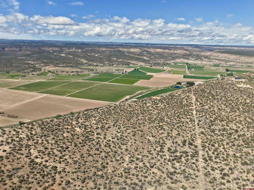 16252 Shavano Valley Road Montrose CO 81403