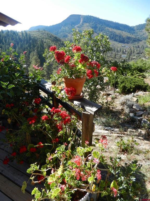 736 Oakridge Drive Pagosa Springs CO 81147