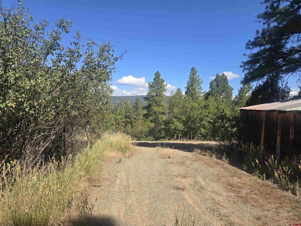 736 Oakridge Drive Pagosa Springs CO 81147