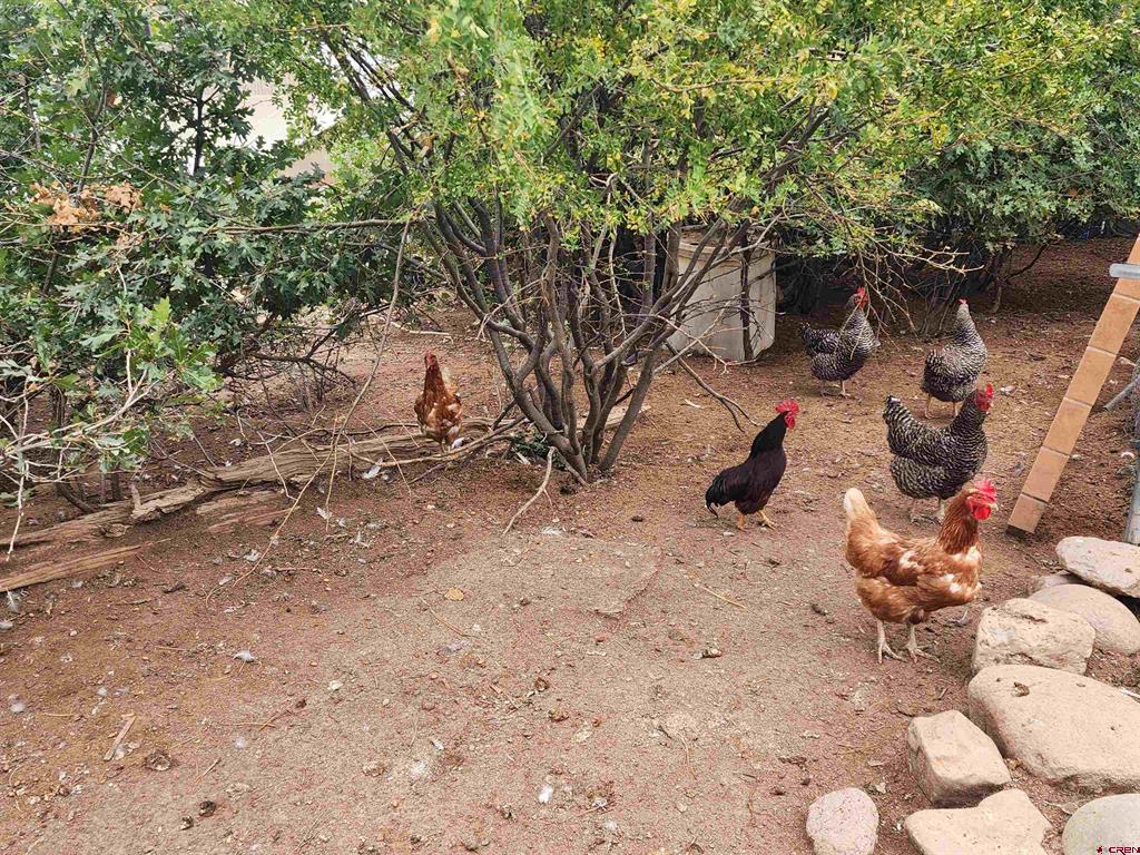 736 Oakridge Drive Pagosa Springs CO 81147