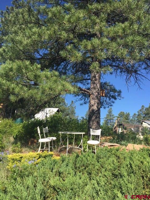 736 Oakridge Drive Pagosa Springs CO 81147