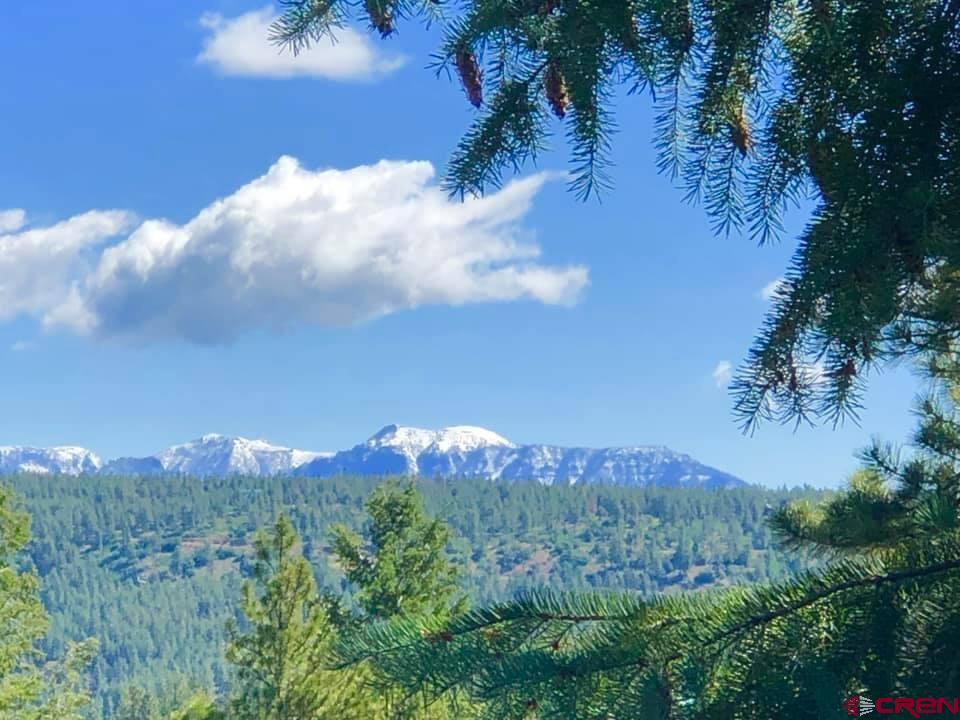 736 Oakridge Drive Pagosa Springs CO 81147