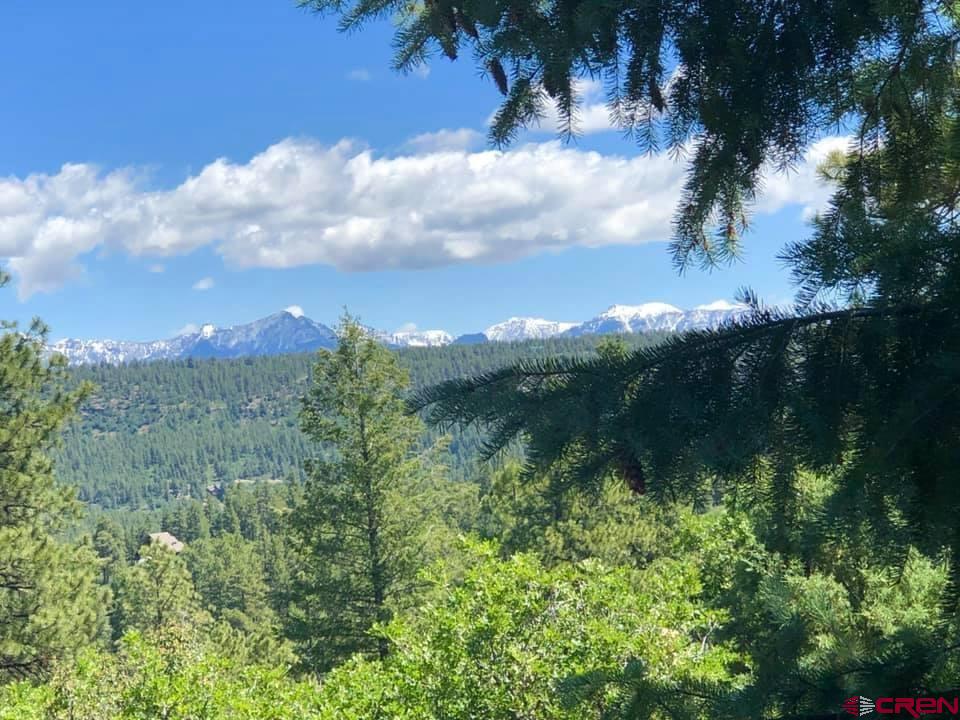 736 Oakridge Drive Pagosa Springs CO 81147