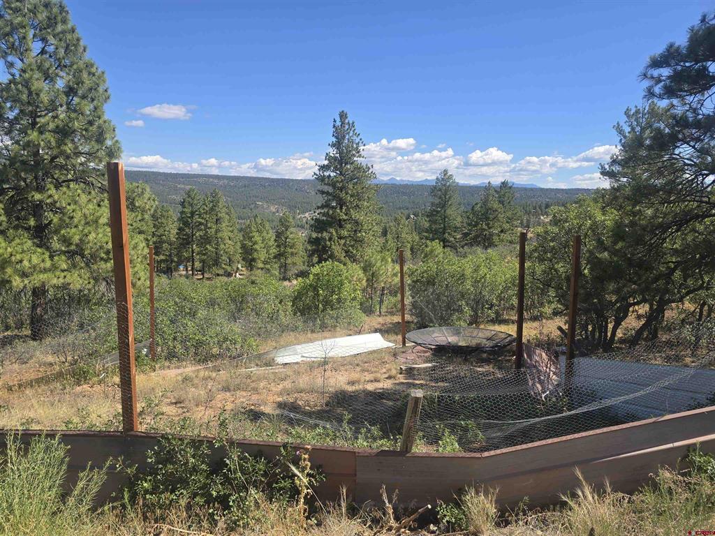 736 Oakridge Drive Pagosa Springs CO 81147