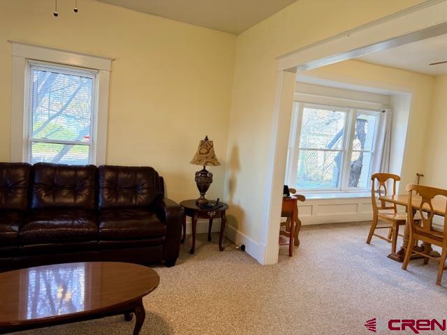 1136 N 1st Street Montrose CO 81401