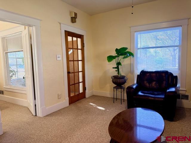 1136 N 1st Street Montrose CO 81401