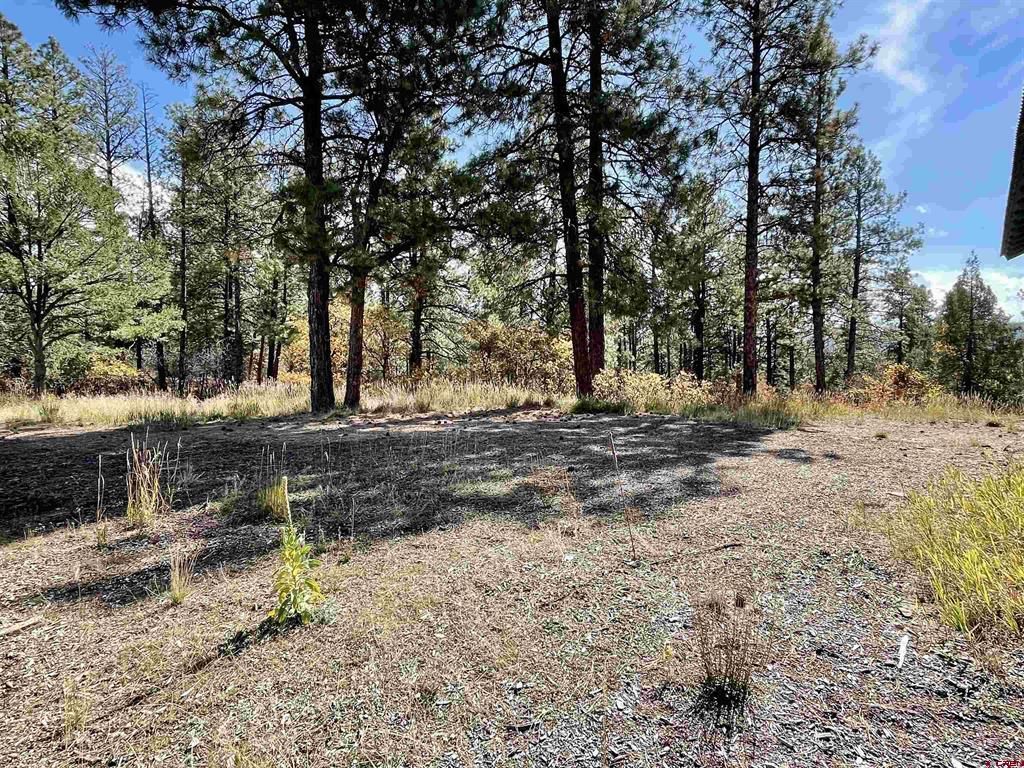 307 Deer Trail Road Durango CO 81303
