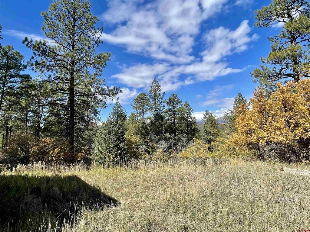 307 Deer Trail Road Durango CO 81303