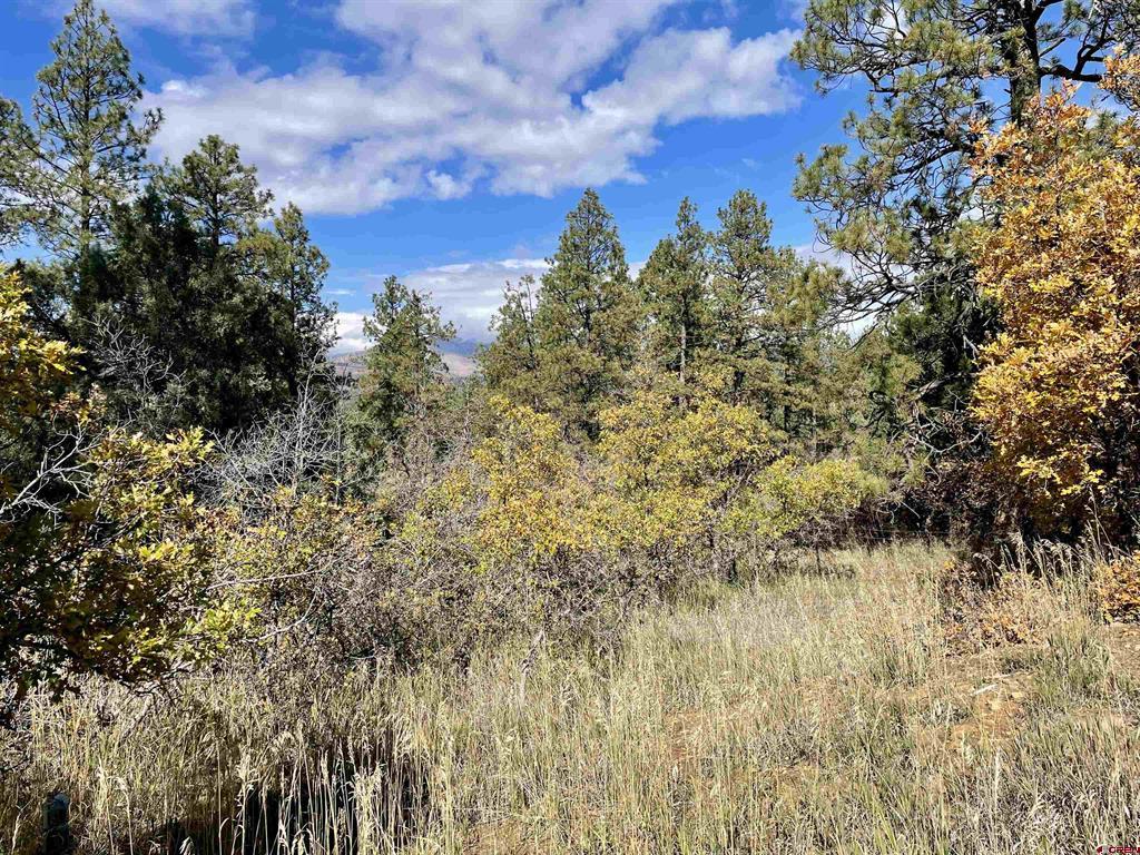 307 Deer Trail Road Durango CO 81303