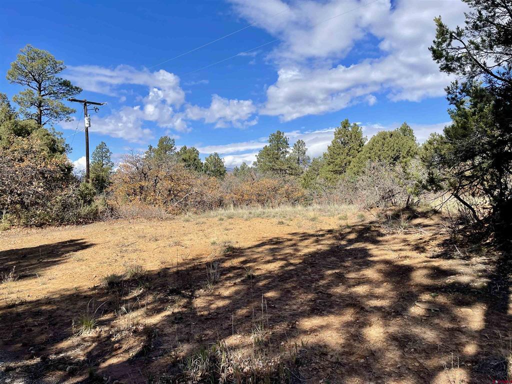 307 Deer Trail Road Durango CO 81303
