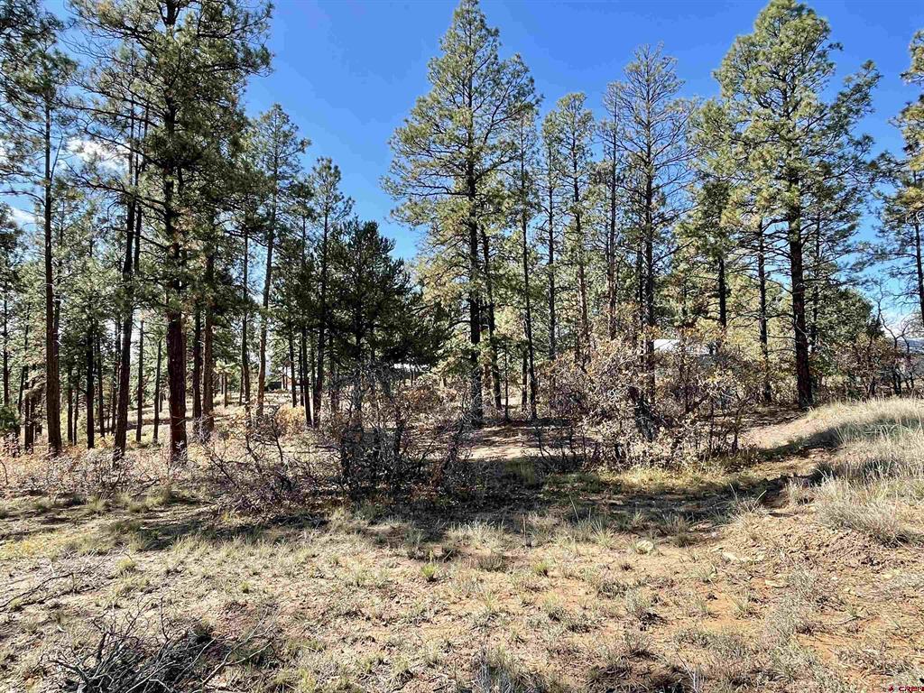 307 Deer Trail Road Durango CO 81303