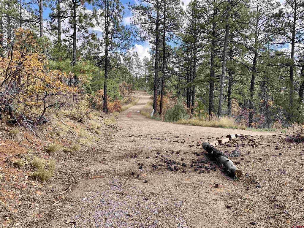 307 Deer Trail Road Durango CO 81303