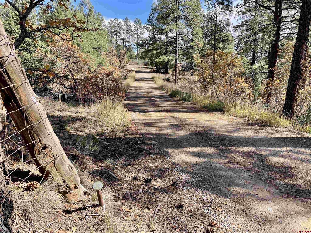 307 Deer Trail Road Durango CO 81303