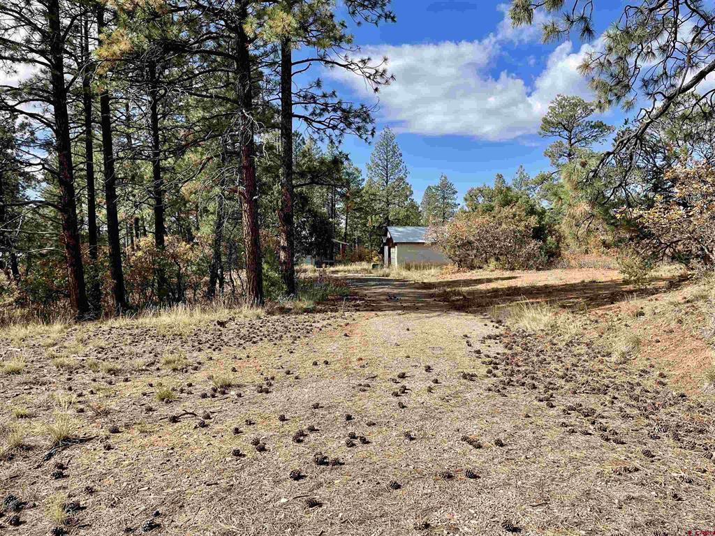 307 Deer Trail Road Durango CO 81303