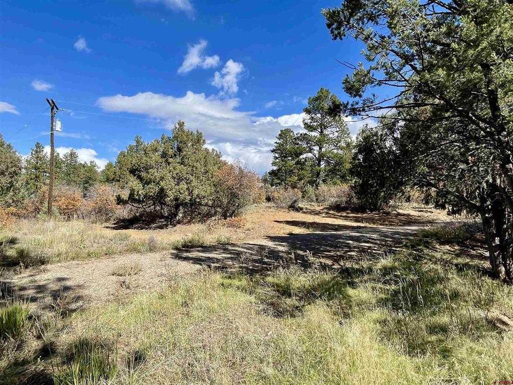307 Deer Trail Road Durango CO 81303
