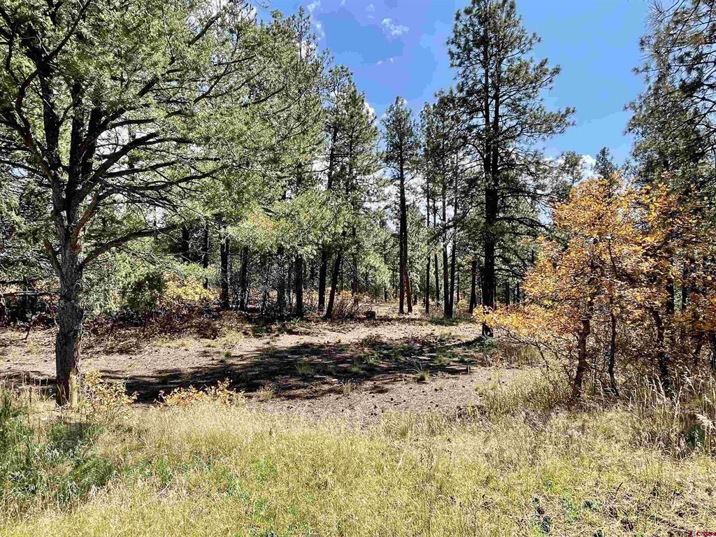 307 Deer Trail Road Durango CO 81303