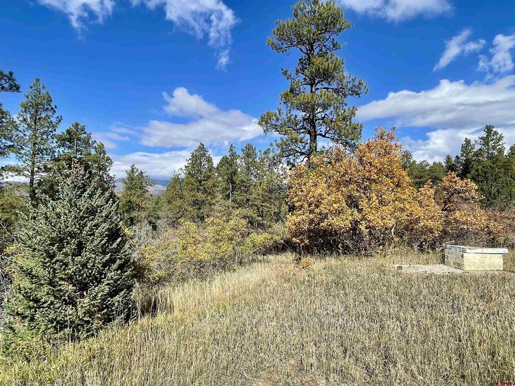 307 Deer Trail Road Durango CO 81303