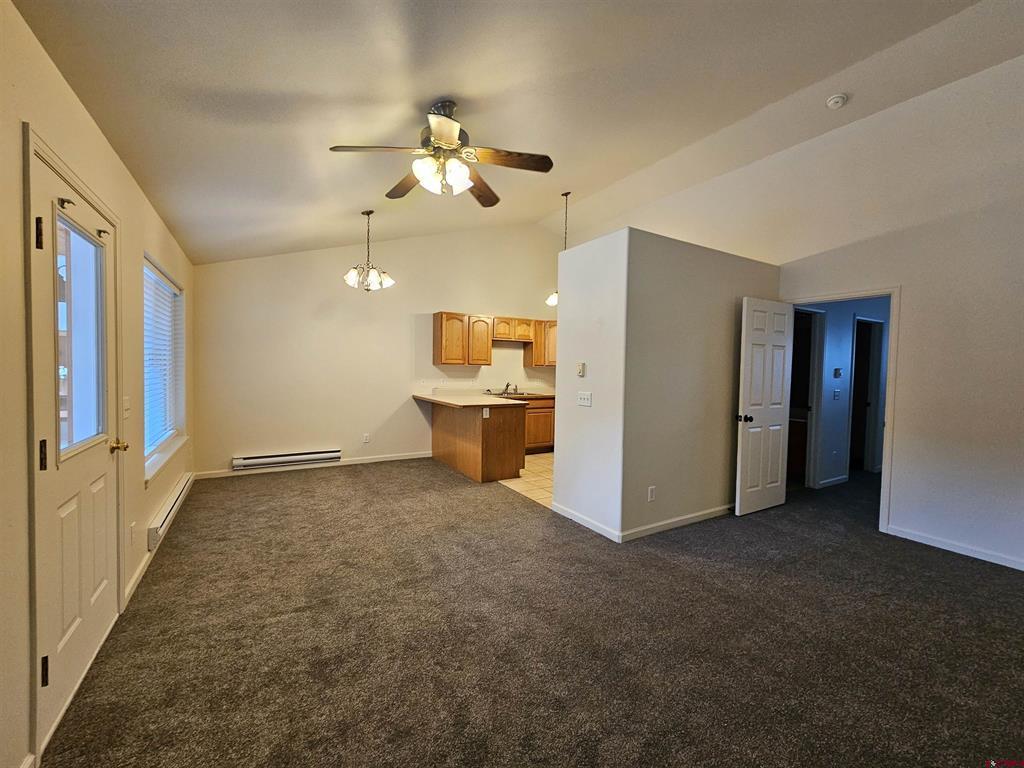 1308 Main Ouray CO 81427