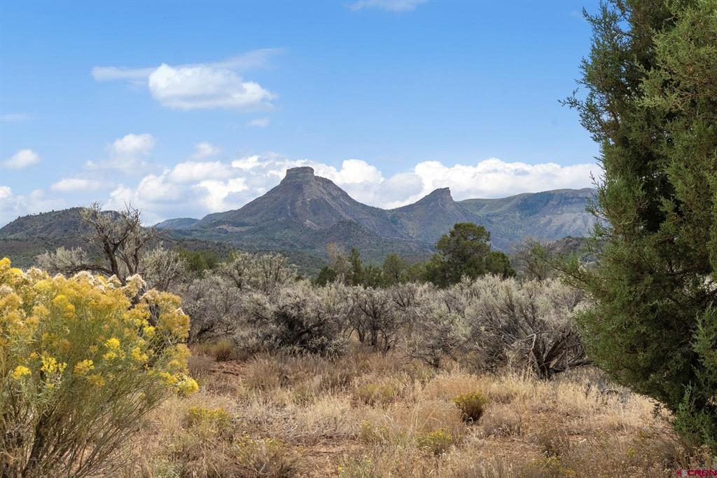 33701 Rd K.8 Mancos CO 81328