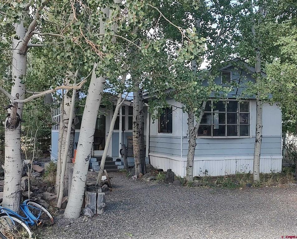 166 Commanche Peak Road South Fork CO 81154