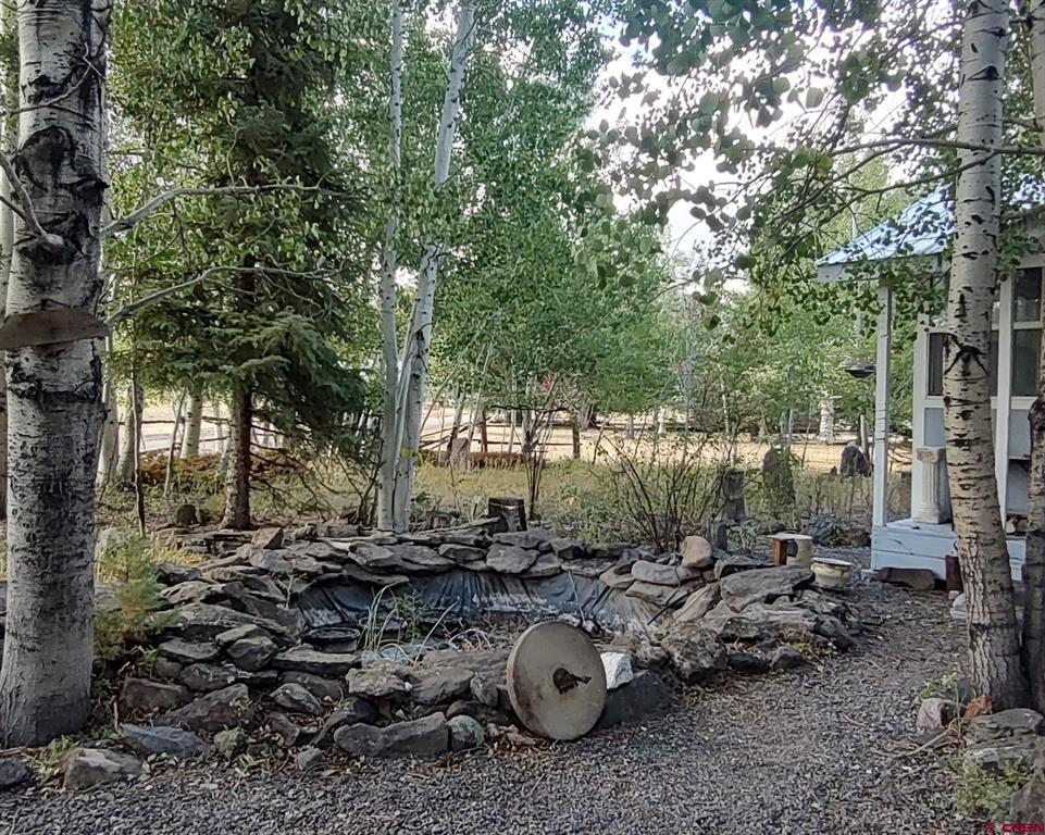 166 Commanche Peak Road South Fork CO 81154
