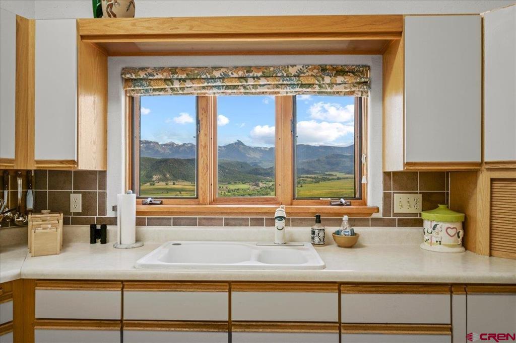 12979 County Road 1 Ridgway CO 81432