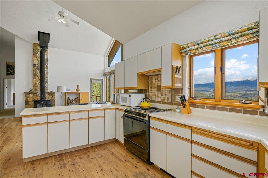 12979 County Road 1 Ridgway CO 81432