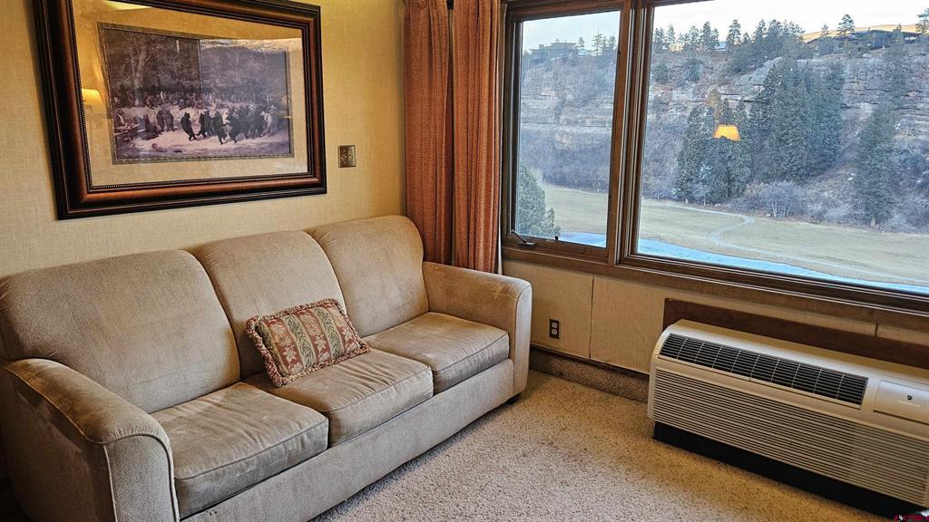314 N Tamarron Drive Durango CO 81301