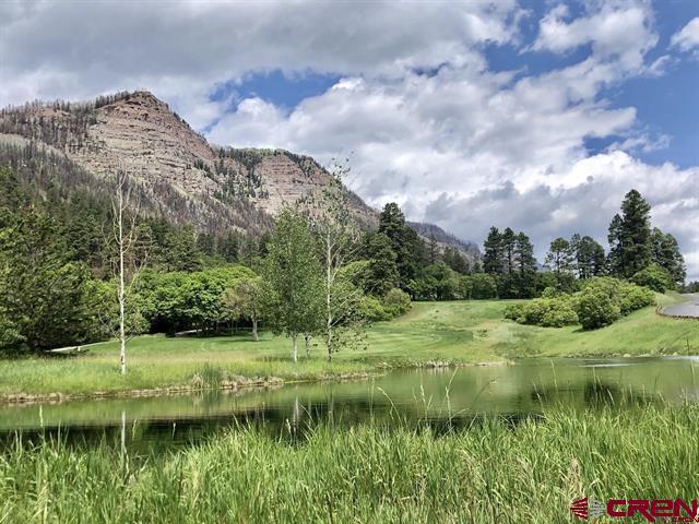 314 N Tamarron Drive Durango CO 81301