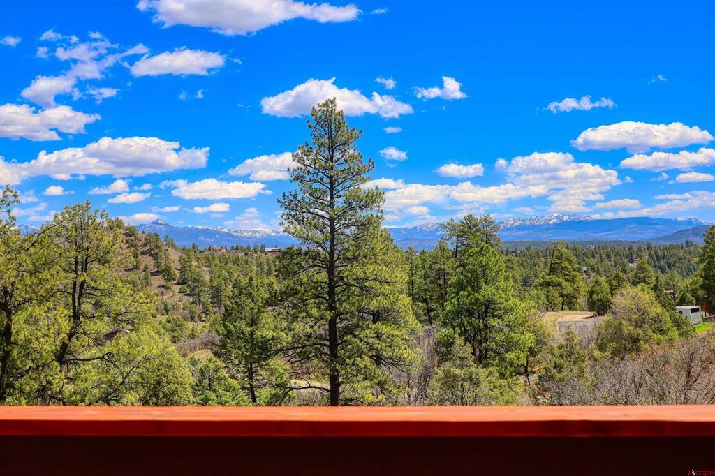 97 Evans Court Pagosa Springs CO 81147