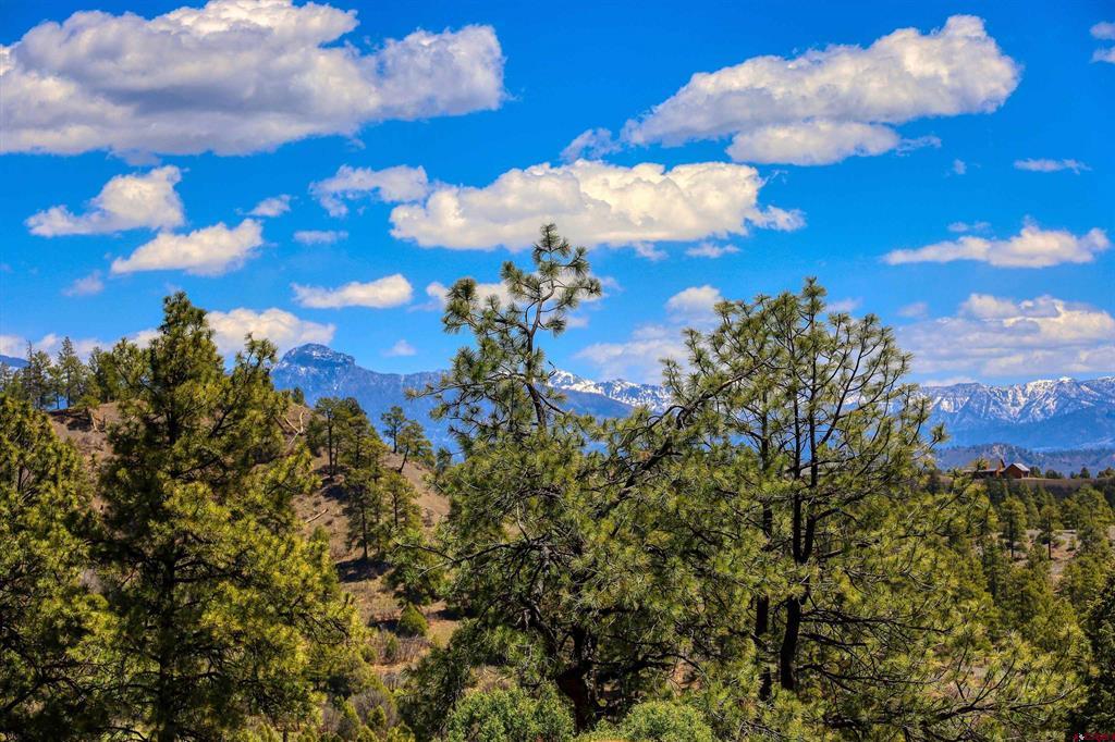 97 Evans Court Pagosa Springs CO 81147
