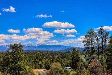 97 Evans Pagosa Springs CO 81147